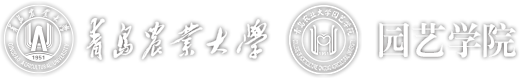 伟德国际1949